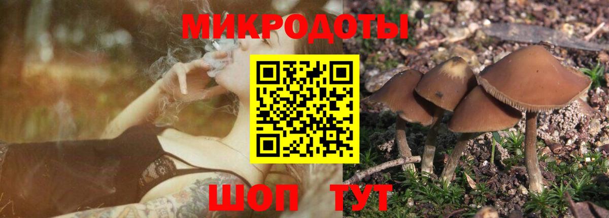 Псилоцибиновые грибы мицелий Югорск